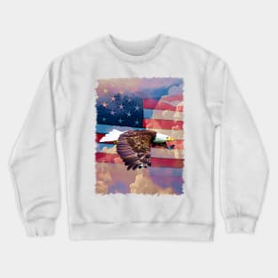 American Eagle Flight Crewneck Sweatshirt